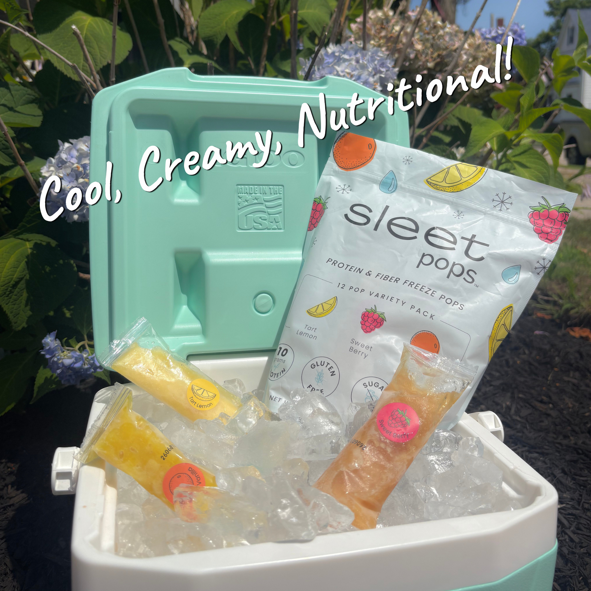 Sleet Pops Variety Pack | Protein & Fiber Freeze Pops | 12 Pack