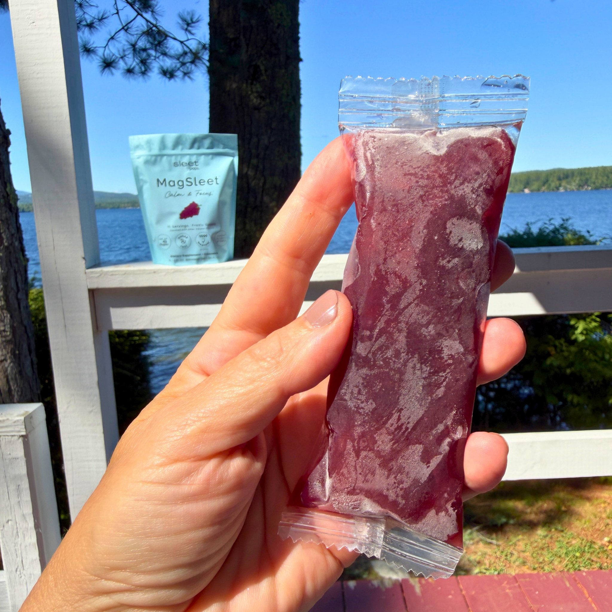 A hand holds a Sleet Pop containing a dark purple freeze pop made with Magtein and Saffron against an outdoor lakeside background. A second light blue pouch labeled 'MogSleet' is visible in the background on a white railing.